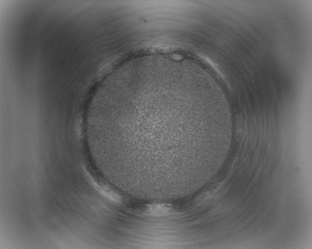 X0000068720451200605051437