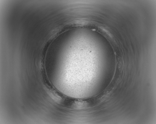 X0000068720455200605051437