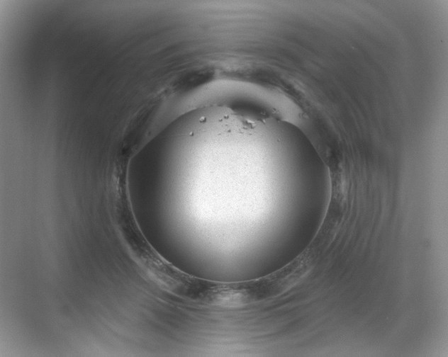 X0000068720456200605051437