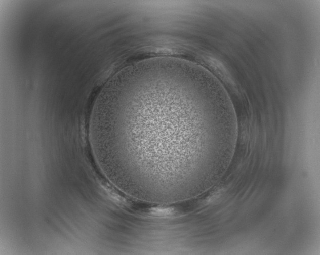 X0000068720457200605051437