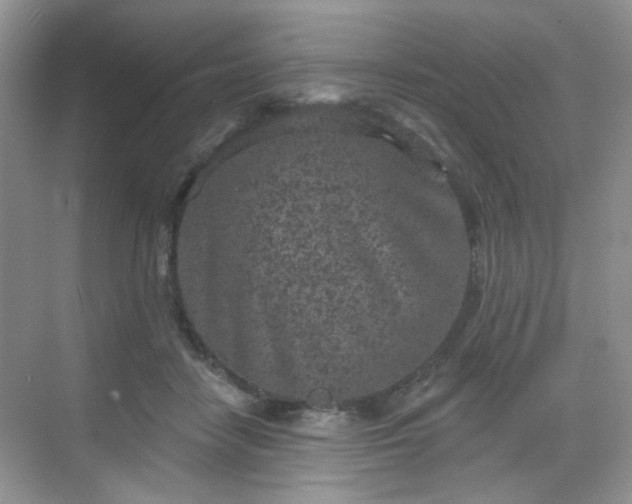 X0000068720458200605051437