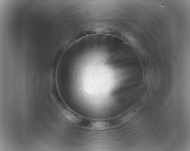 X0000068720461200605051437