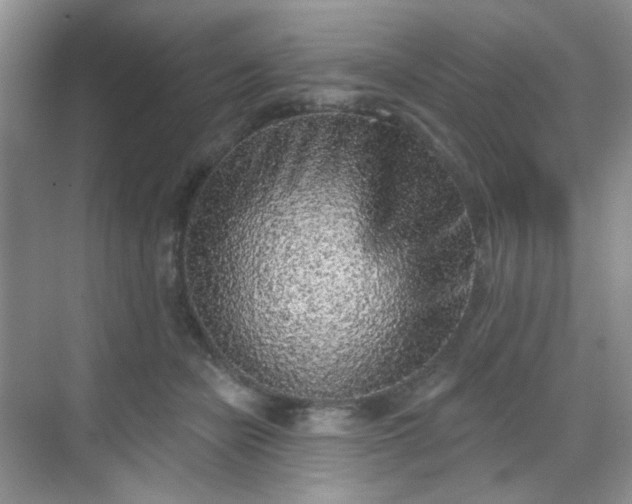 X0000068720462200605051437