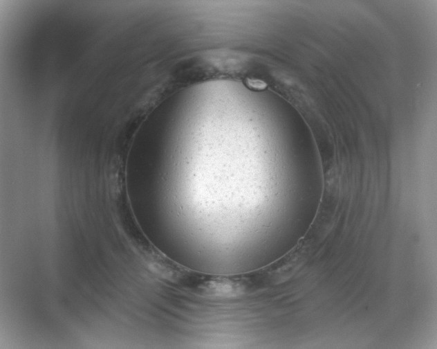 X0000068720464200605051437