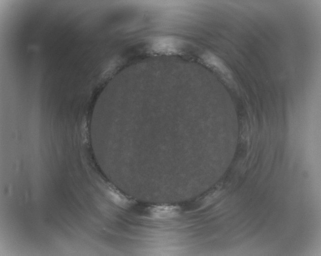 X0000068720465200605051437