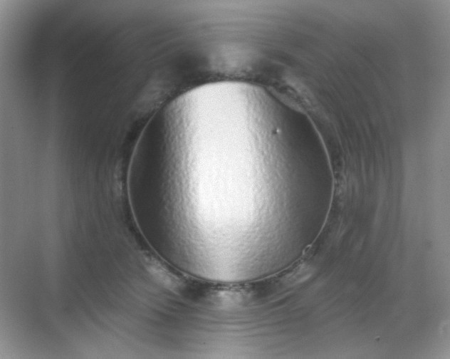 X0000068720466200605051438