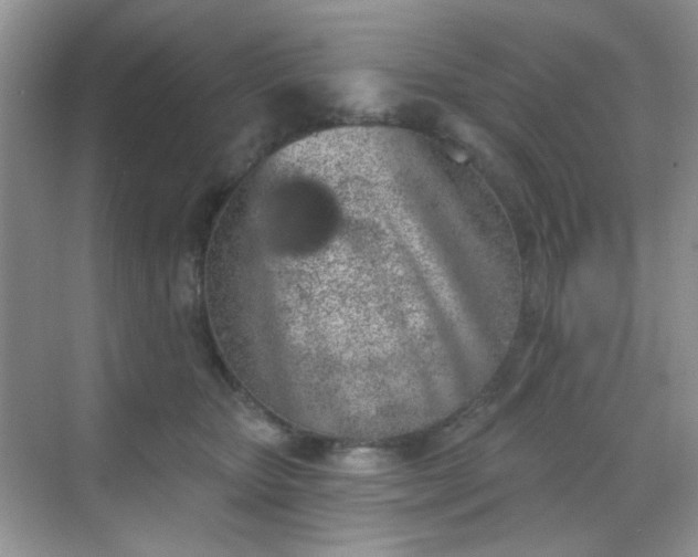 X0000068720467200605051438