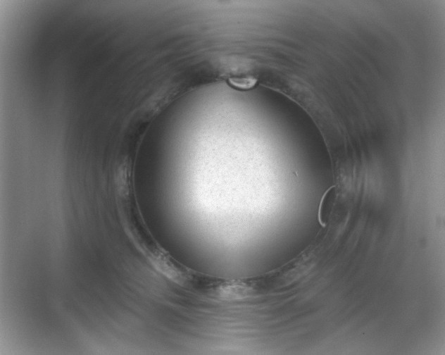 X0000068720468200605051438