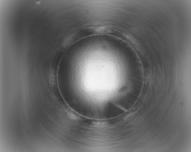 X0000068720469200605051438