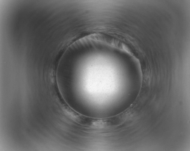 X0000068720470200605051438