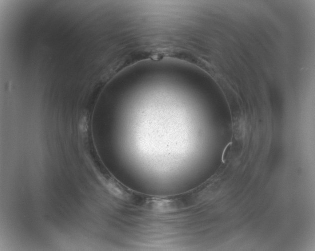 X0000068720472200605051438