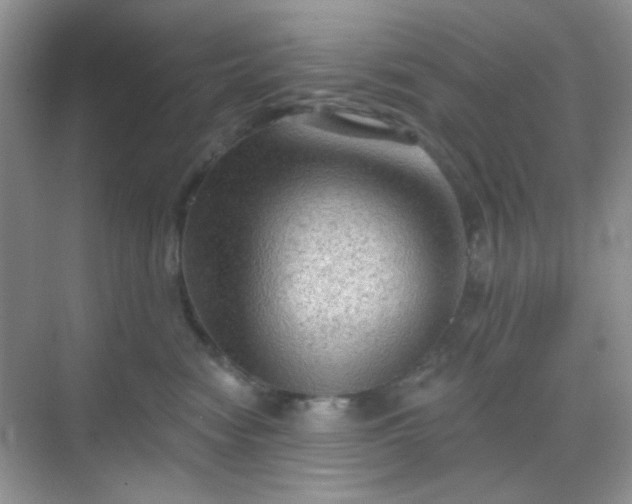 X0000068720474200605051438