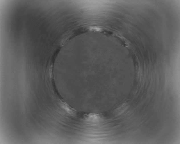 X0000068720475200605051438