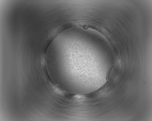 X0000068720477200605051438