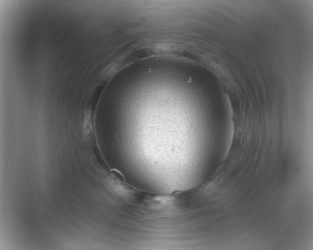 X0000068720478200605051438