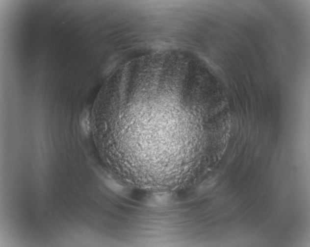 X0000068720479200605051438