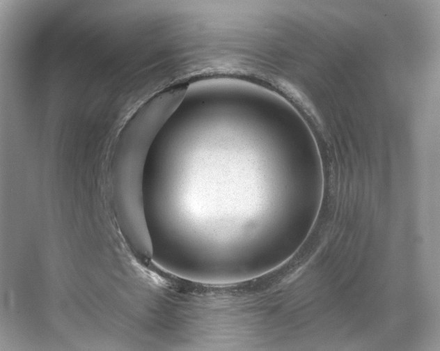 X0000068720481200605051437