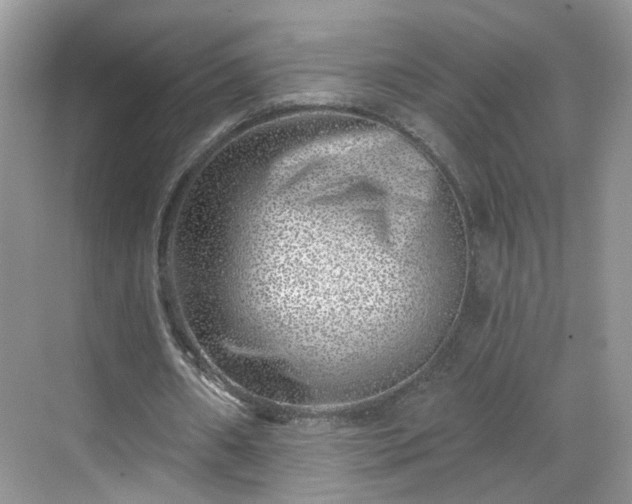 X0000068720482200605051437