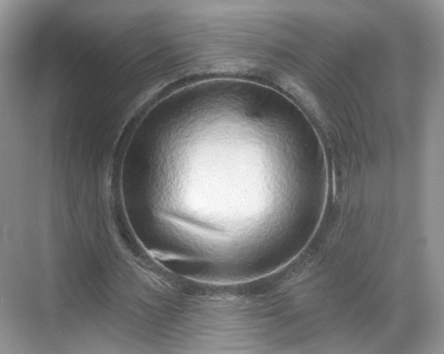 X0000068720483200605051437