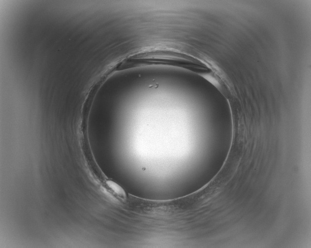 X0000068720485200605051437