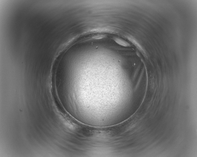 X0000068720486200605051437