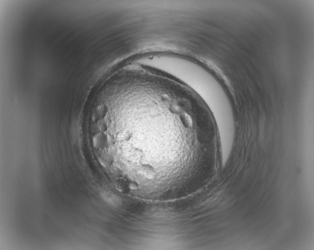 X0000068720487200605051437