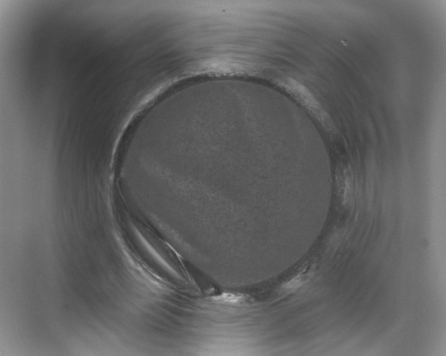 X0000068720488200605051437