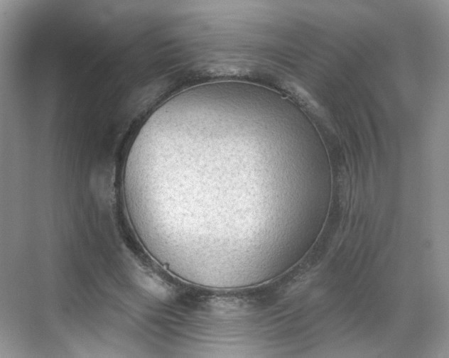 X0000068720490200605051437