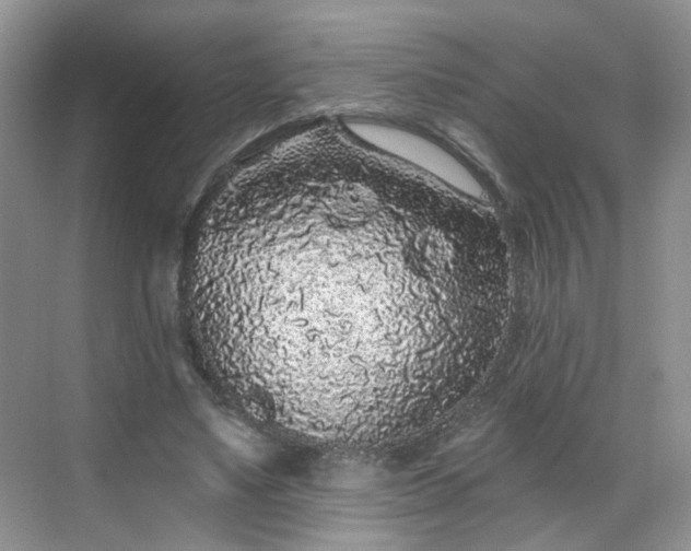 X0000068720491200605051437