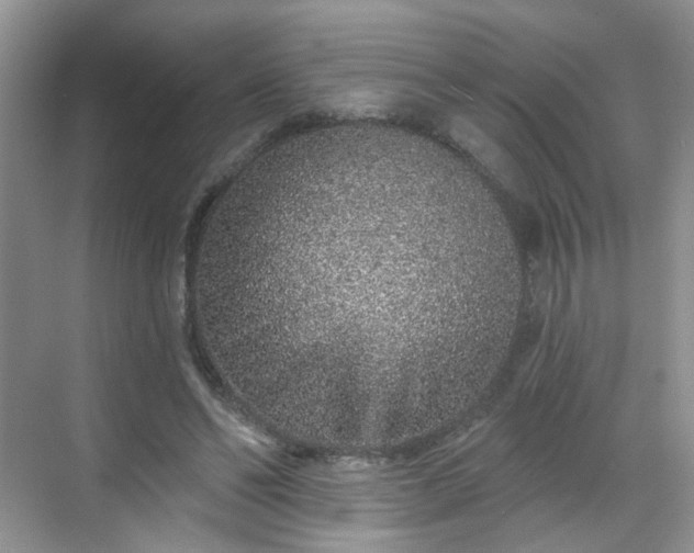 X0000068720494200605051437