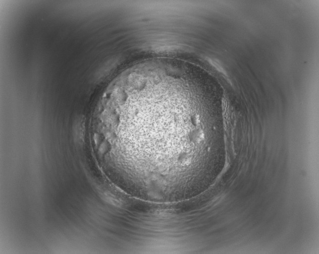 X0000068720495200605051437