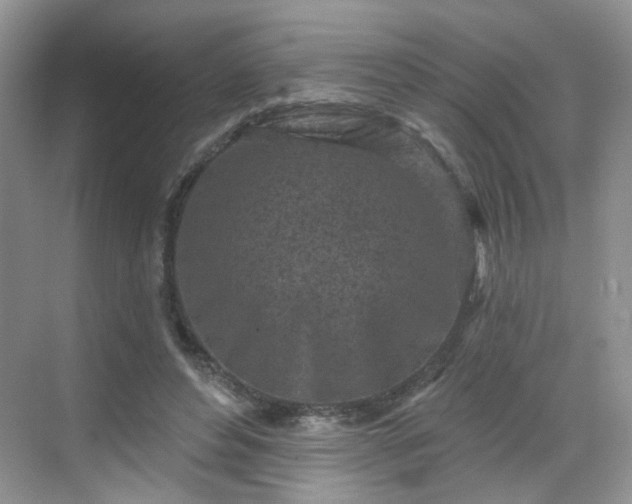 X0000068720496200605051437