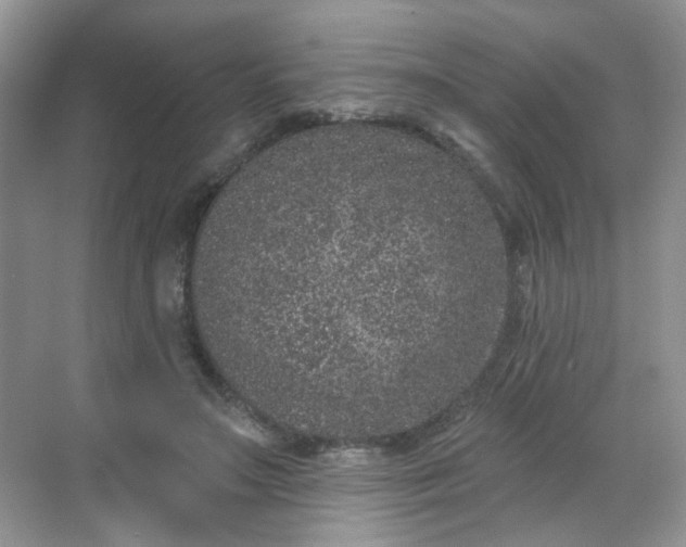 X0000068720499200605051437