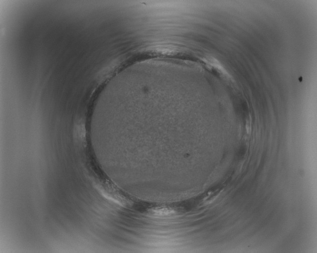 X0000068720500200605051437