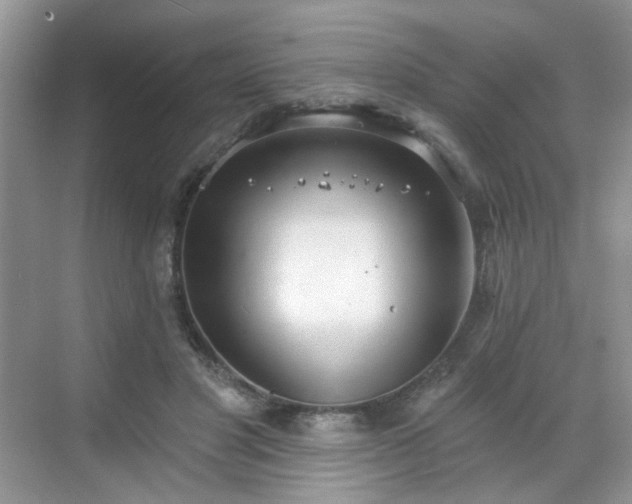 X0000068720501200605051437