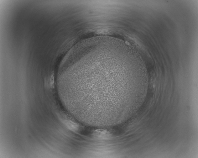 X0000068720502200605051437