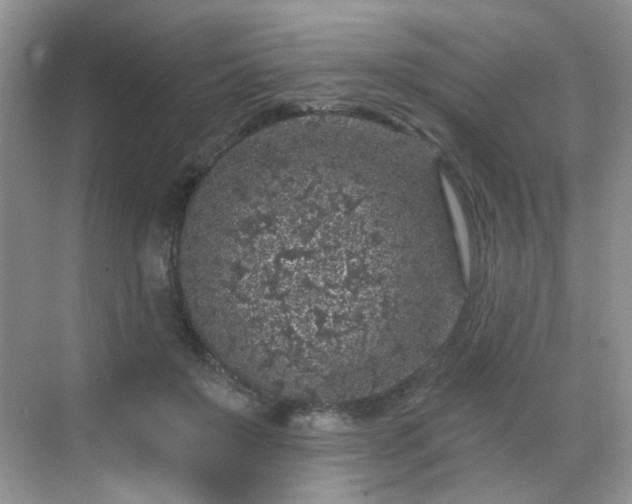 X0000068720503200605051437