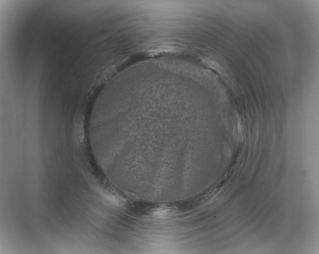 X0000068720504200605051437