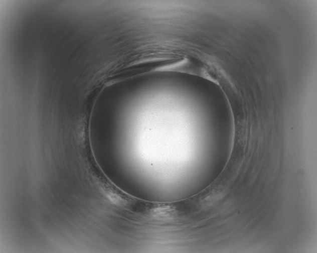 X0000068720505200605051437