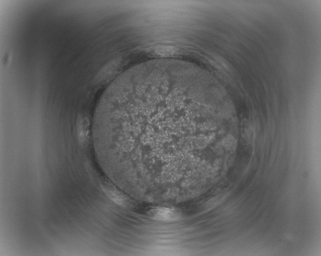 X0000068720507200605051437