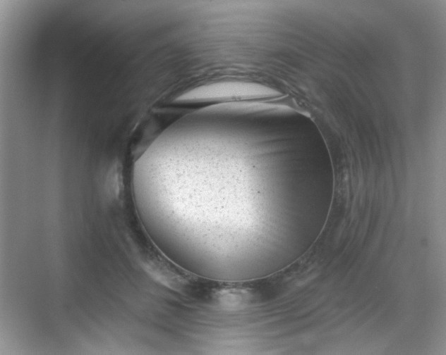 X0000068720508200605051436