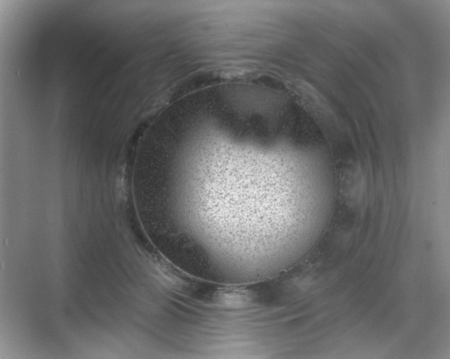 X0000068720510200605051436