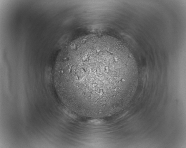 X0000068720511200605051436