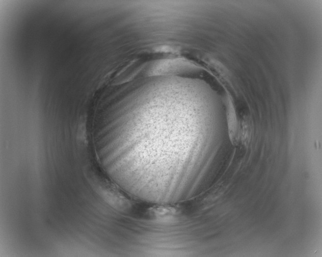 X0000068720512200605051436