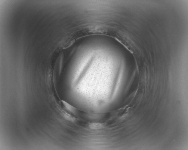 X0000068720513200605051436