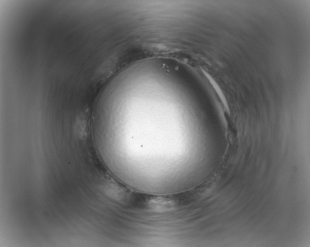 X0000068720515200605051436