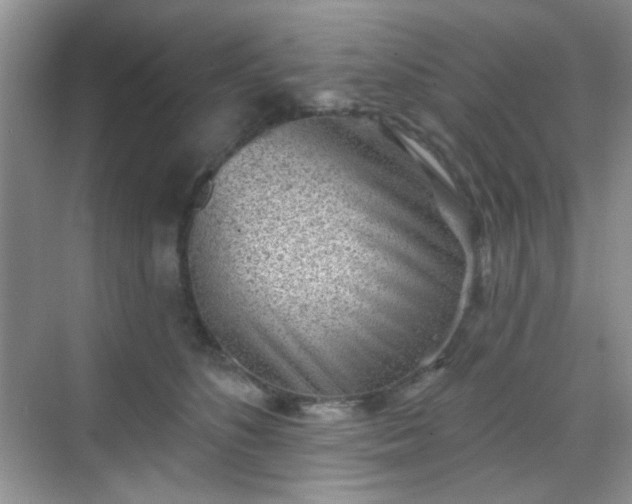 X0000068720516200605051436