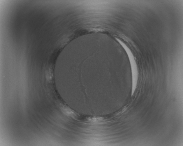 X0000068720517200605051436