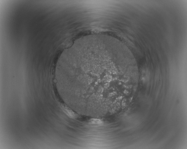 X0000068720519200605051436