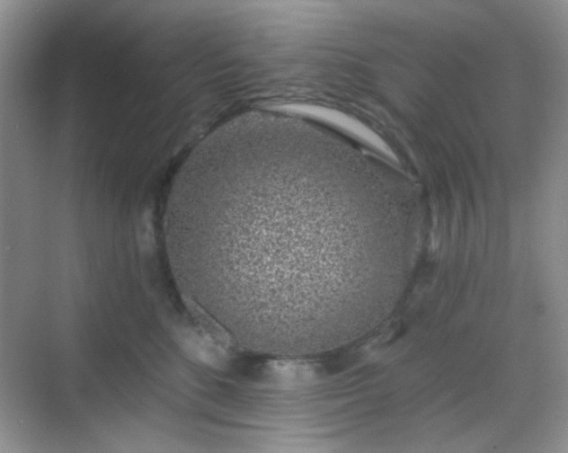 X0000068720520200605051436